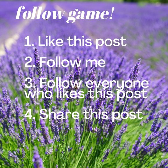 Other - Follow game